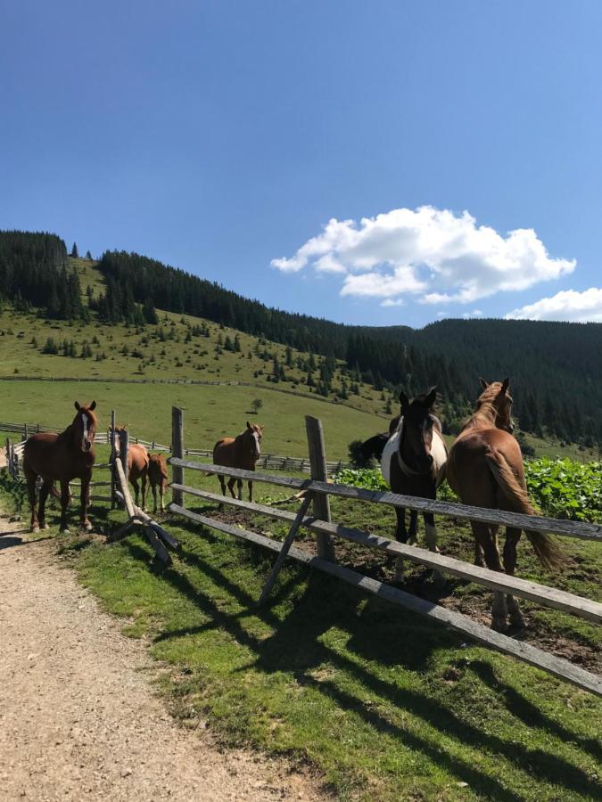 Вілла Софі Verkhovijna Eksteriør bilde